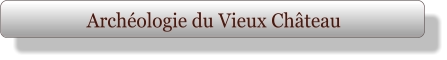 Archéologie du Vieux Château