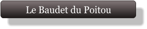 Le Baudet du Poitou
