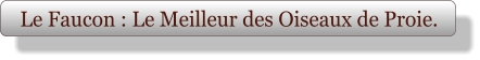 Le Faucon : Le Meilleur des Oiseaux de Proie.