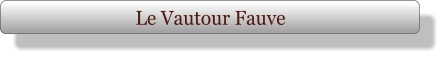 Le Vautour Fauve