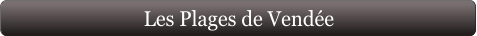 Les Plages de Vendée