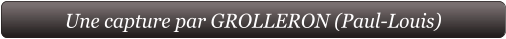 Une capture par GROLLERON (Paul-Louis)