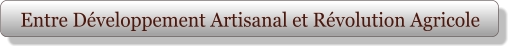 Entre Développement Artisanal et Révolution Agricole