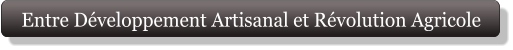 Entre Développement Artisanal et Révolution Agricole