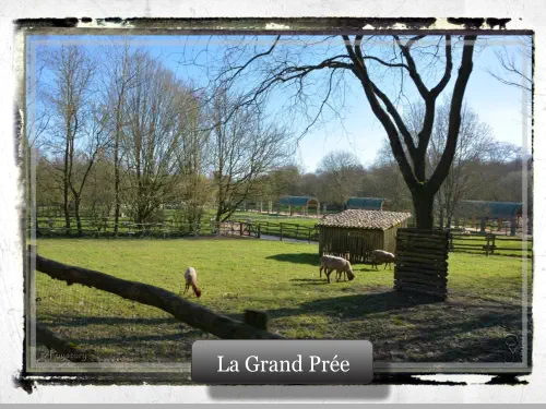 La Grand Prée La Grand Prée