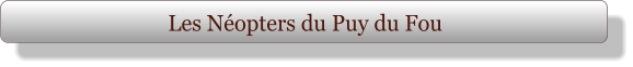 Les Néopters du Puy du Fou