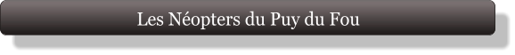 Les Néopters du Puy du Fou