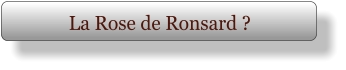 La Rose de Ronsard ?