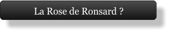 La Rose de Ronsard ?