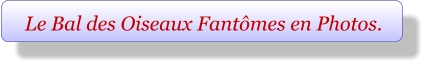 Le Bal des Oiseaux Fantômes en Photos.