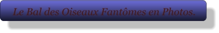 Le Bal des Oiseaux Fantômes en Photos.