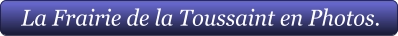 La Frairie de la Toussaint en Photos.