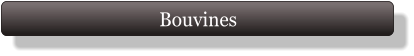 Bouvines