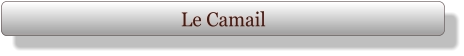 Le Camail