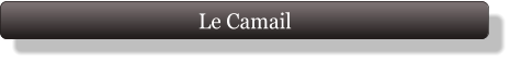 Le Camail