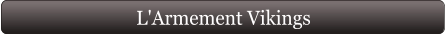 L'Armement Vikings