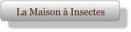 La Maison à Insectes
