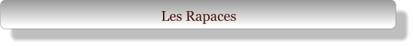 Les Rapaces