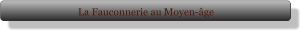 La Fauconnerie au Moyen-âge