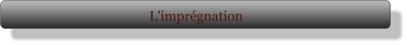 L'imprégnation