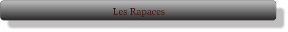 Les Rapaces