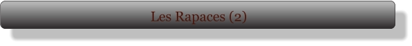 Les Rapaces (2)