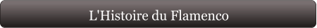 L'Histoire du Flamenco