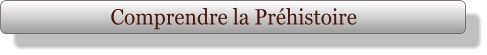 Comprendre la Préhistoire