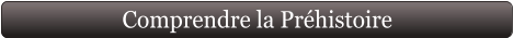 Comprendre la Préhistoire