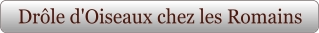 Drôle d'Oiseaux chez les Romains