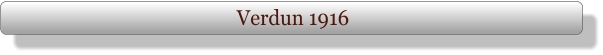 Verdun 1916