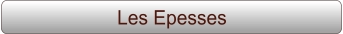 Les Epesses