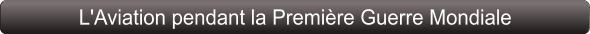 L'Aviation pendant la Première Guerre Mondiale