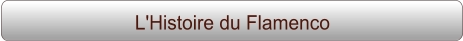 L'Histoire du Flamenco