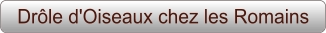 Drôle d'Oiseaux chez les Romains
