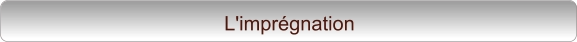 L'imprégnation