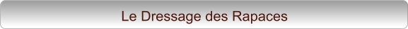 Le Dressage des Rapaces