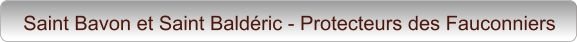 Saint Bavon et Saint Baldéric - Protecteurs des Fauconniers