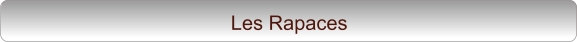 Les Rapaces