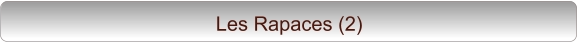 Les Rapaces (2)