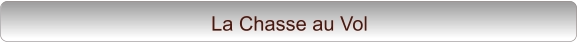 La Chasse au Vol