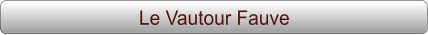 Le Vautour Fauve