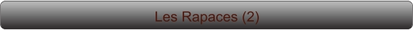 Les Rapaces (2)