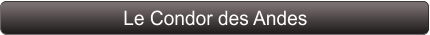 Le Condor des Andes