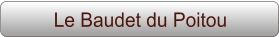 Le Baudet du Poitou