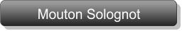 Mouton Solognot