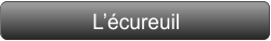 L’écureuil