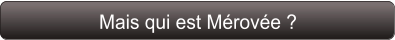 Mais qui est Mérovée ?