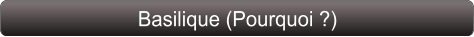 Basilique (Pourquoi ?)
