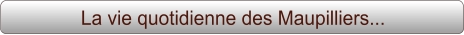 La vie quotidienne des Maupilliers...